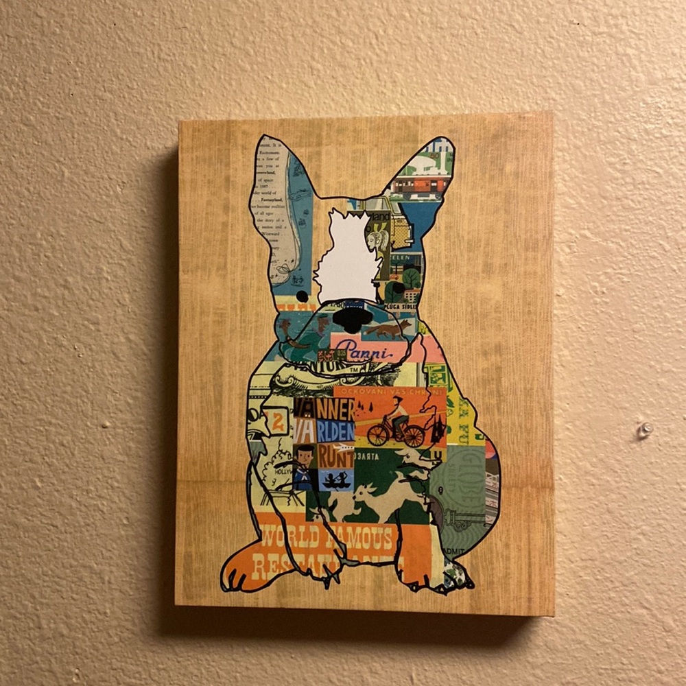 Dog picture